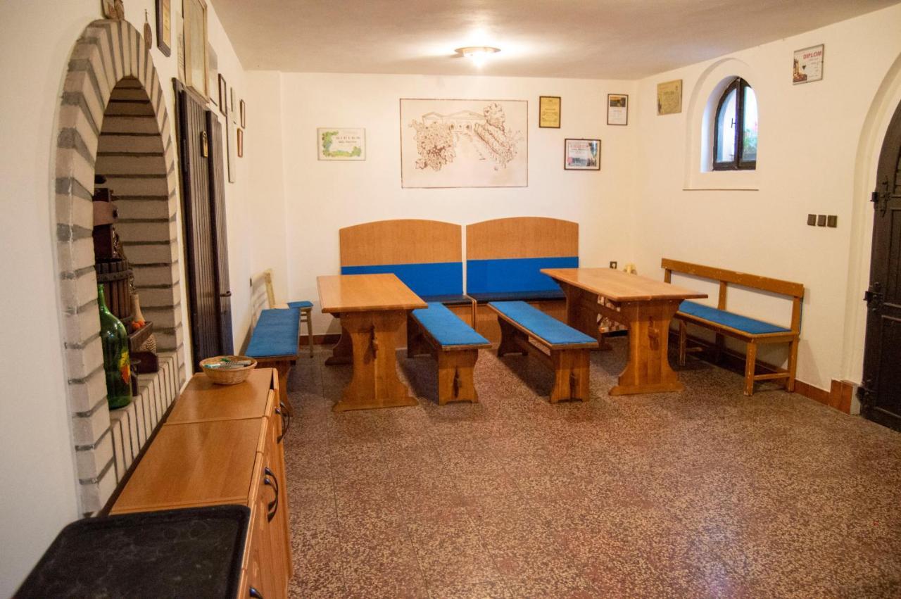 Penzion Holacky Dolní Dunajovice エクステリア 写真